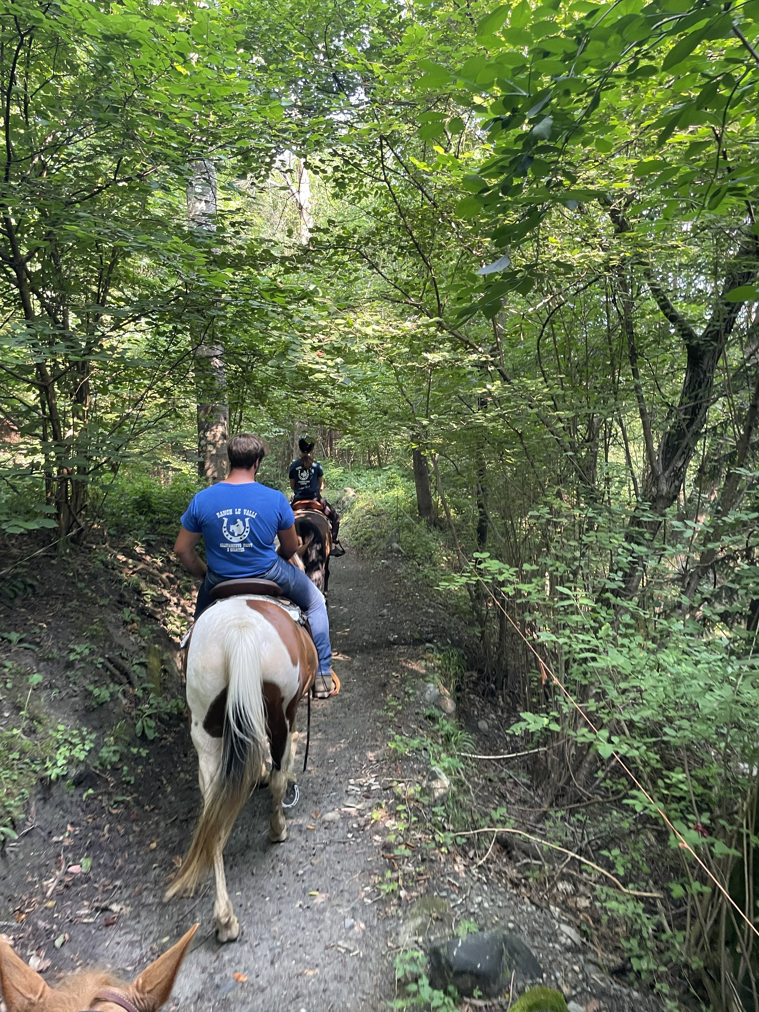 Passeggiate e trekking